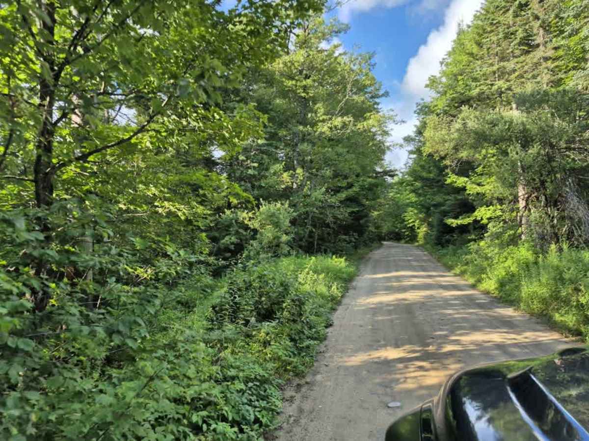 Otter Brook Trail photo 5