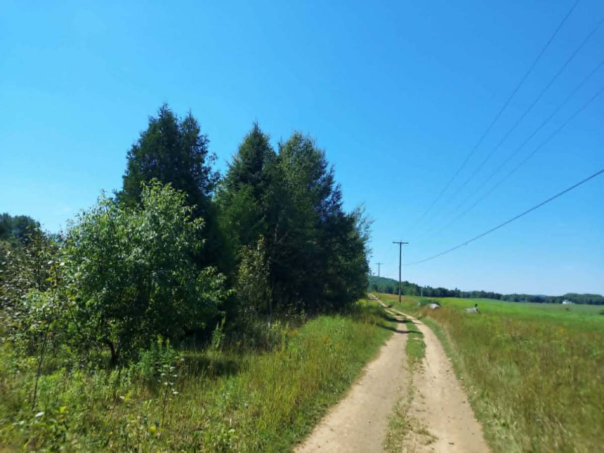 Crum Memorial Trail photo 3