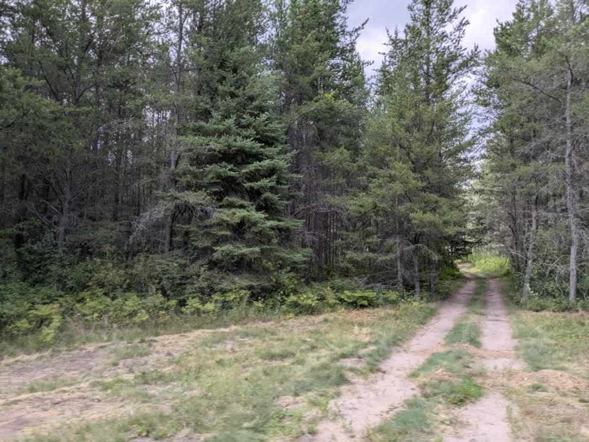 Palsburg Road photo 6