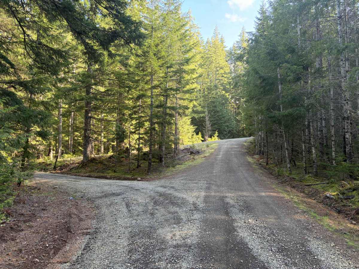 Section 10 Road photo 6