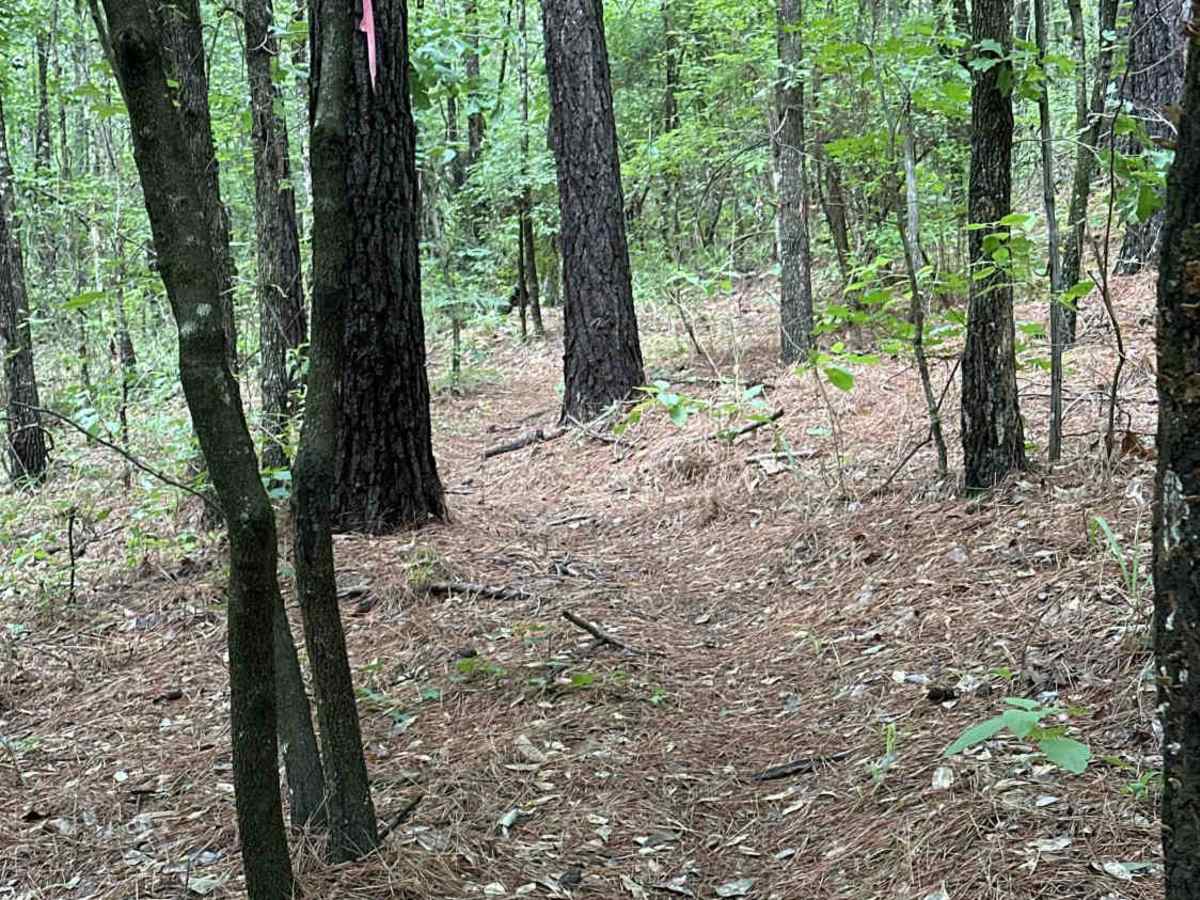 Mad Max trail photo