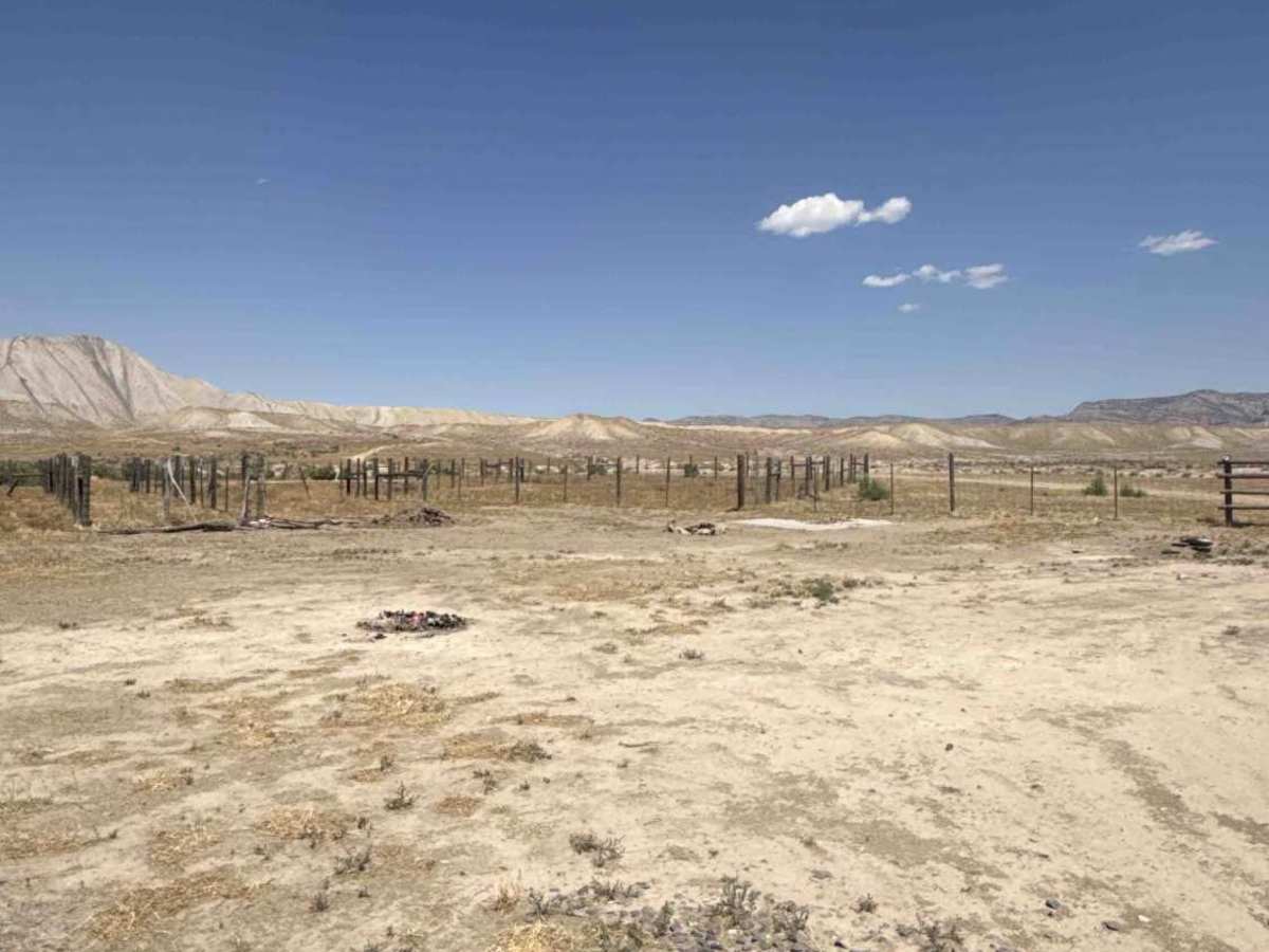 BLM 198 photo 4