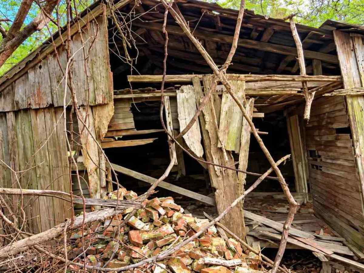Old Ruins Trail photo 4