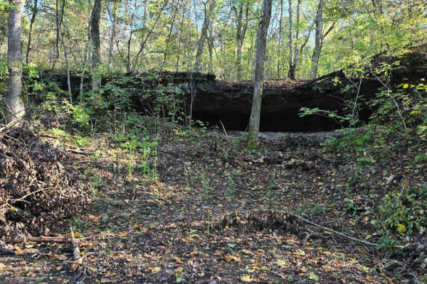 Logging Trail #2