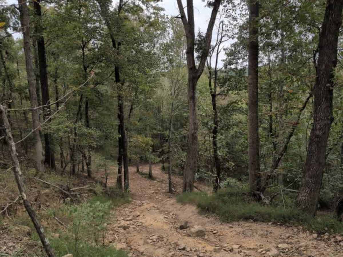 #25 Wild Walena's Way trail photo