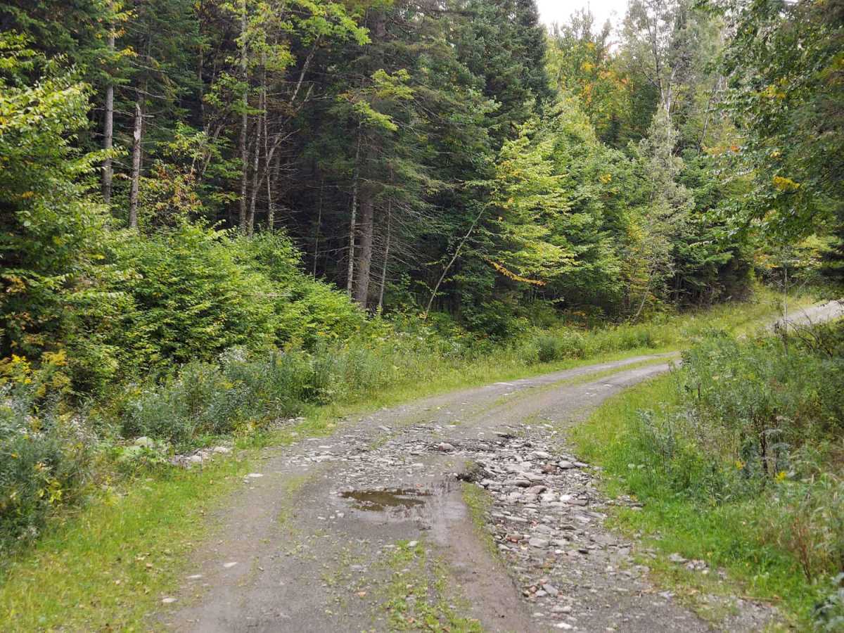 Hall Stream Road photo 5