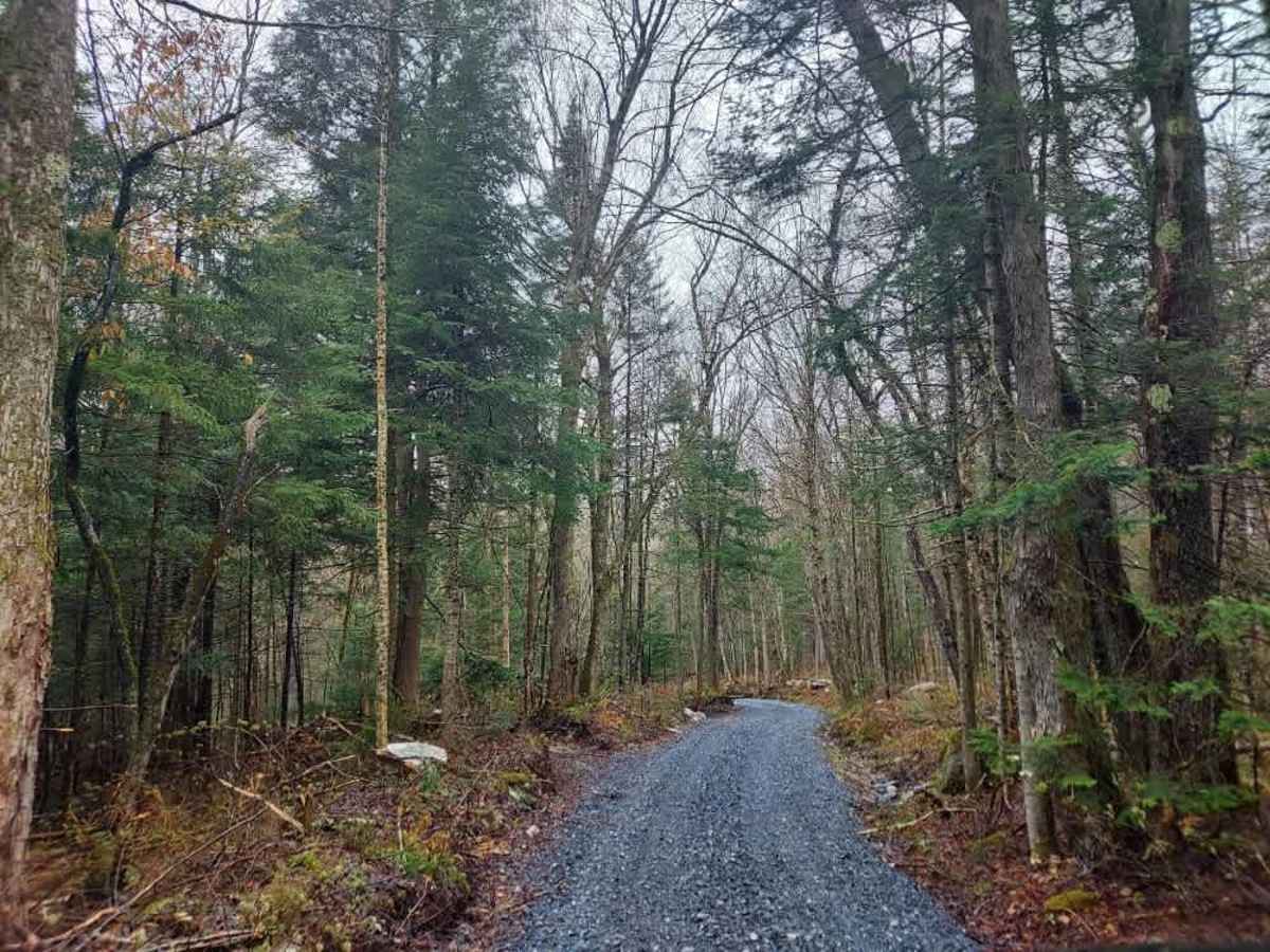 Dunville Hollow Road photo 2