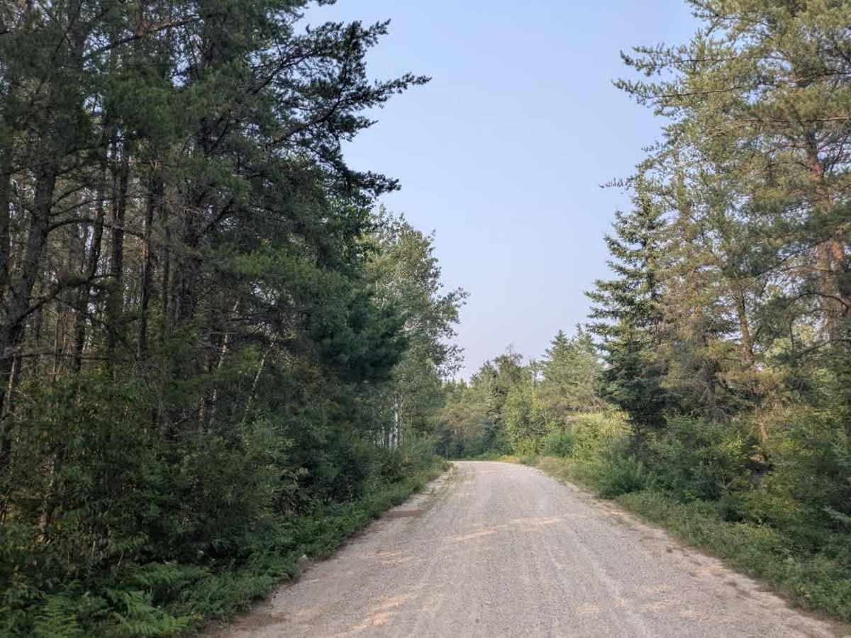 FS 471 trail photo