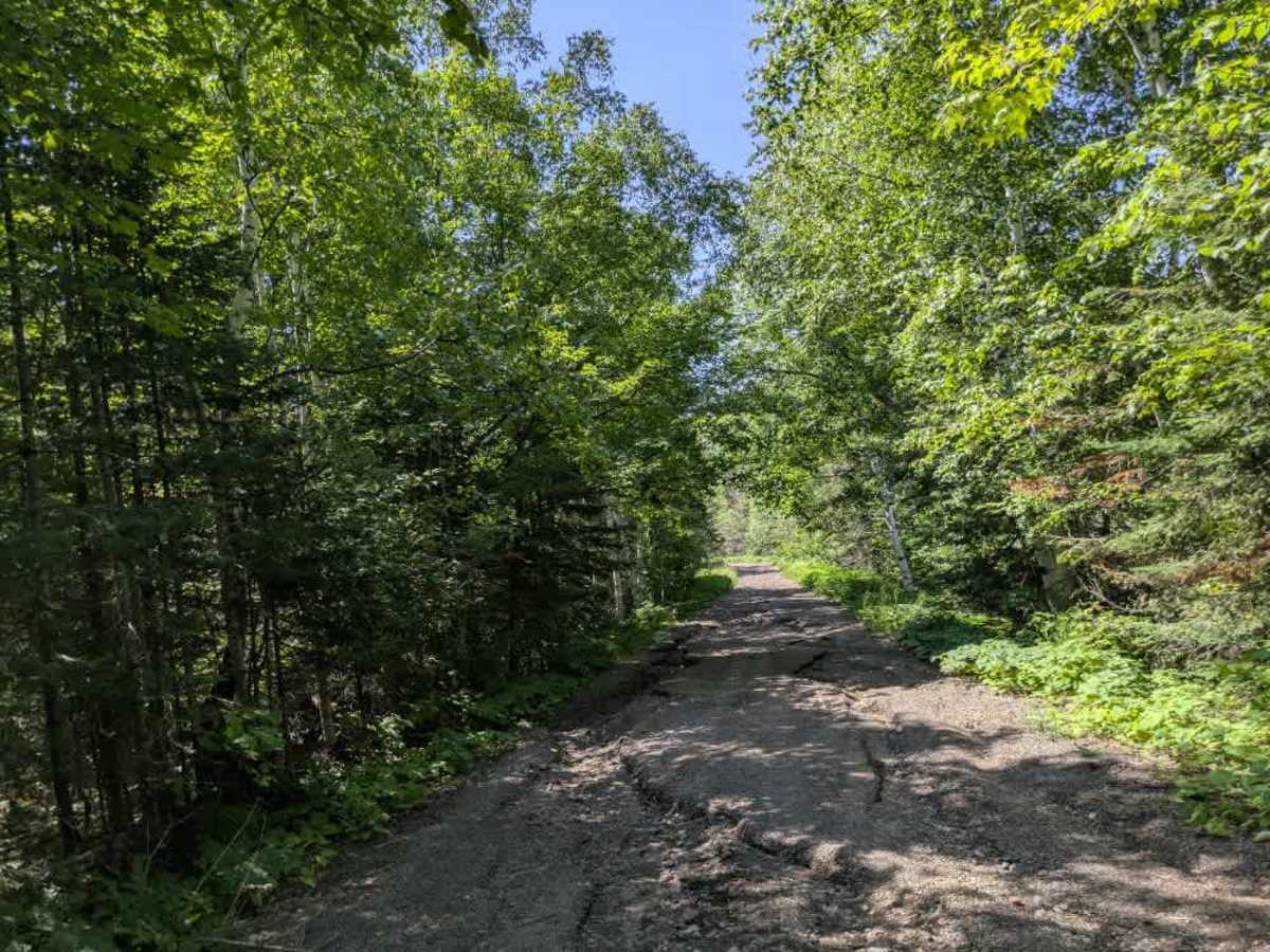 Bogus Lake trail photo