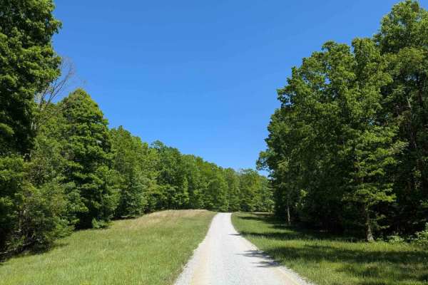 Poplar Springs Road