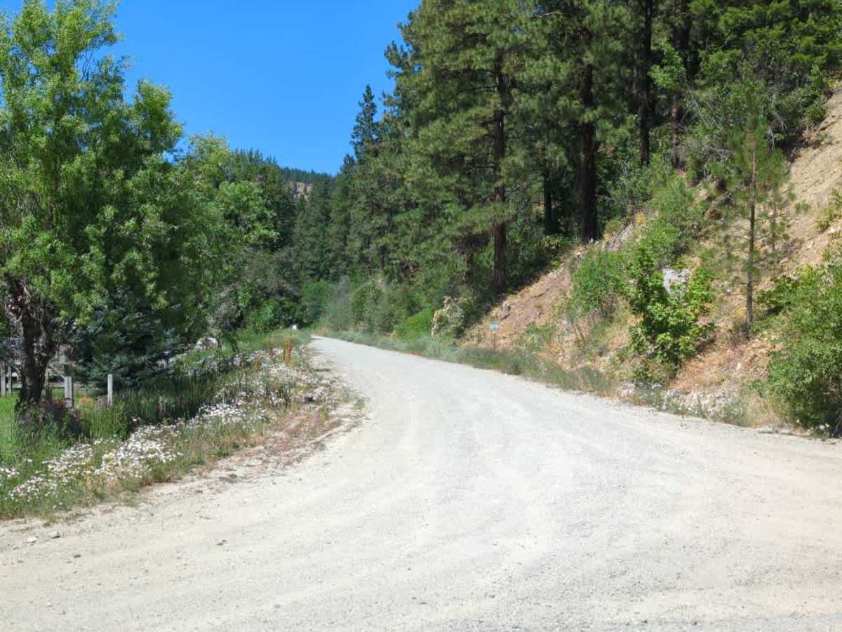 Van Creek Road photo 2