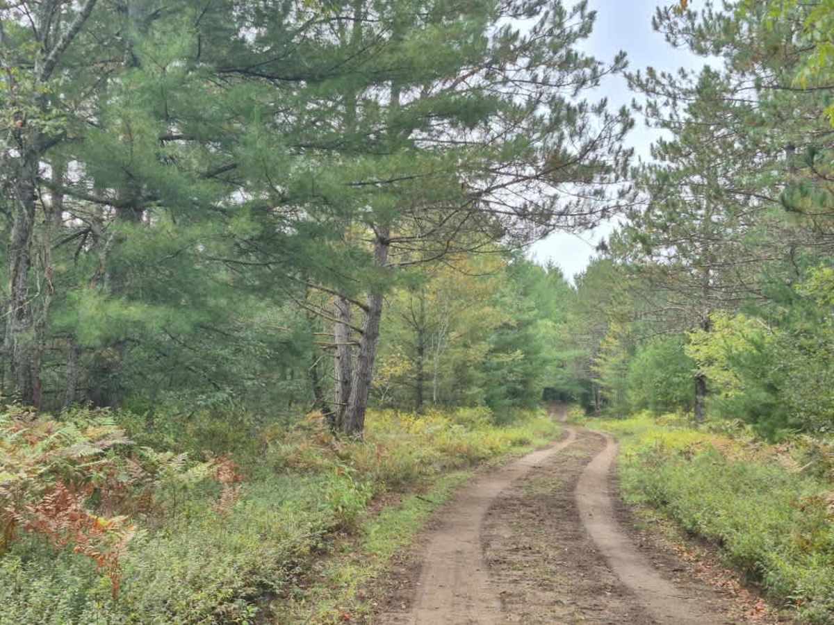 Pitcher Pond Trail photo 3
