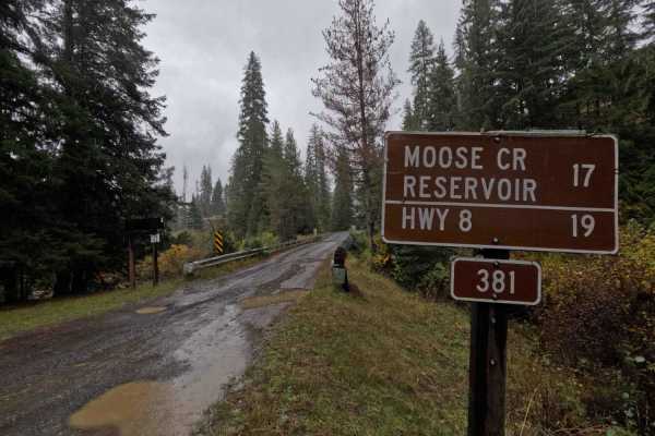 Moose Creek - FS 381 