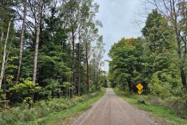 Neff Road