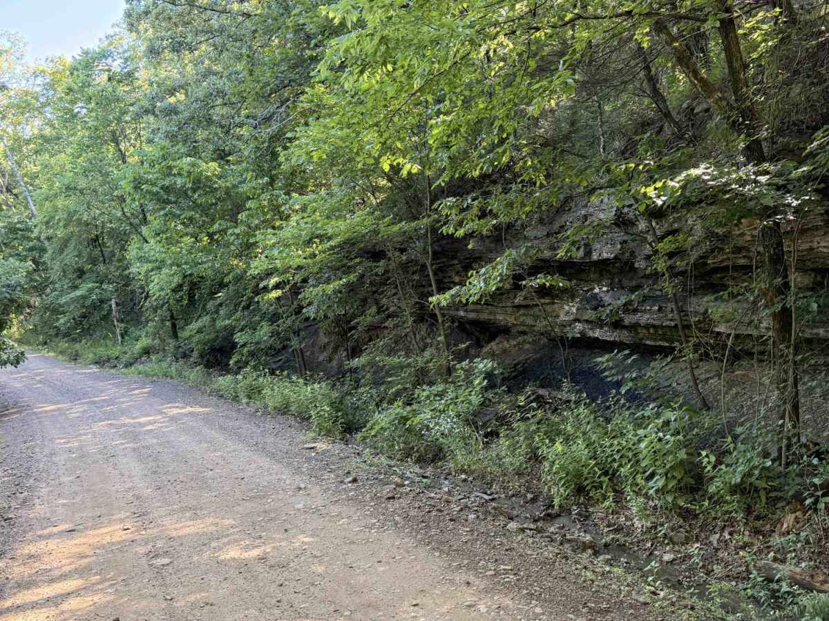 Cove Creek Crossing  photo 5