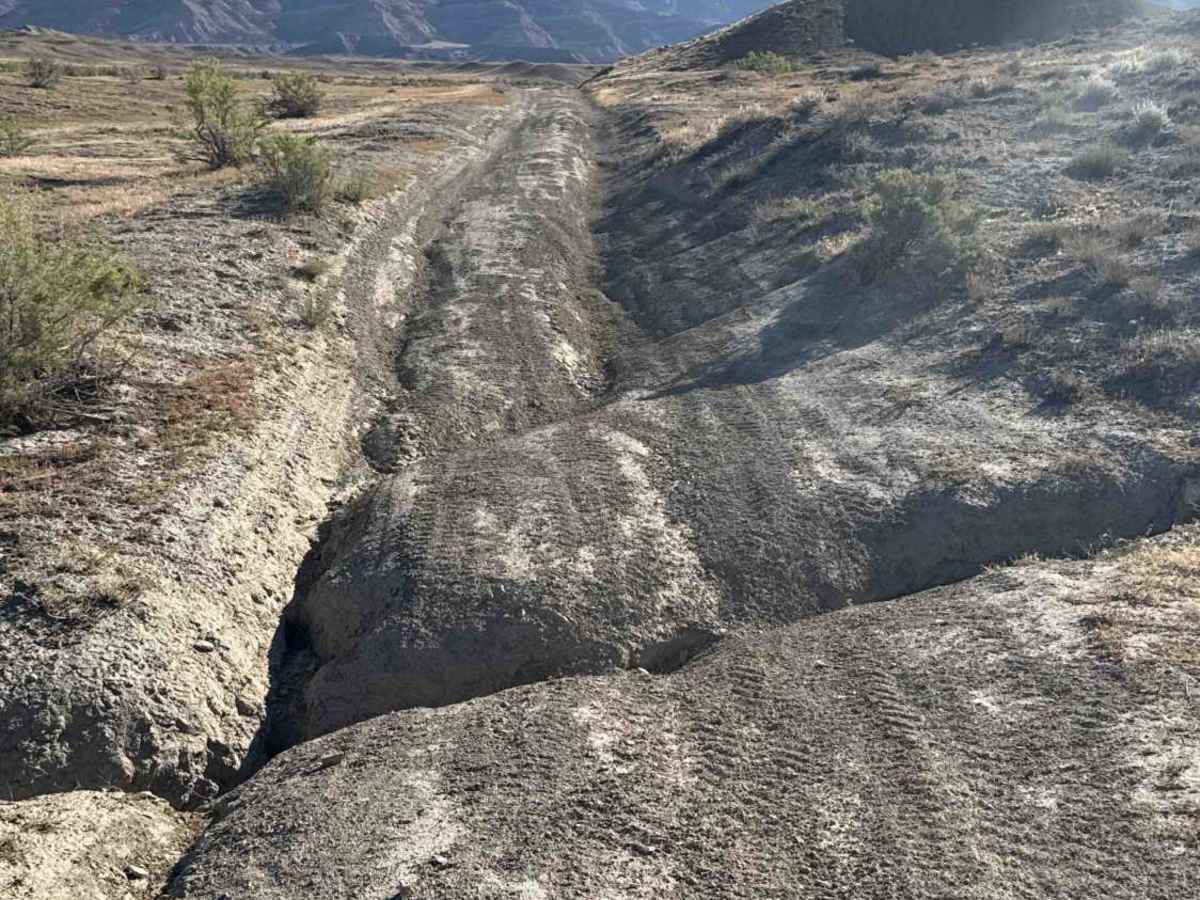BLM 191 photo 2