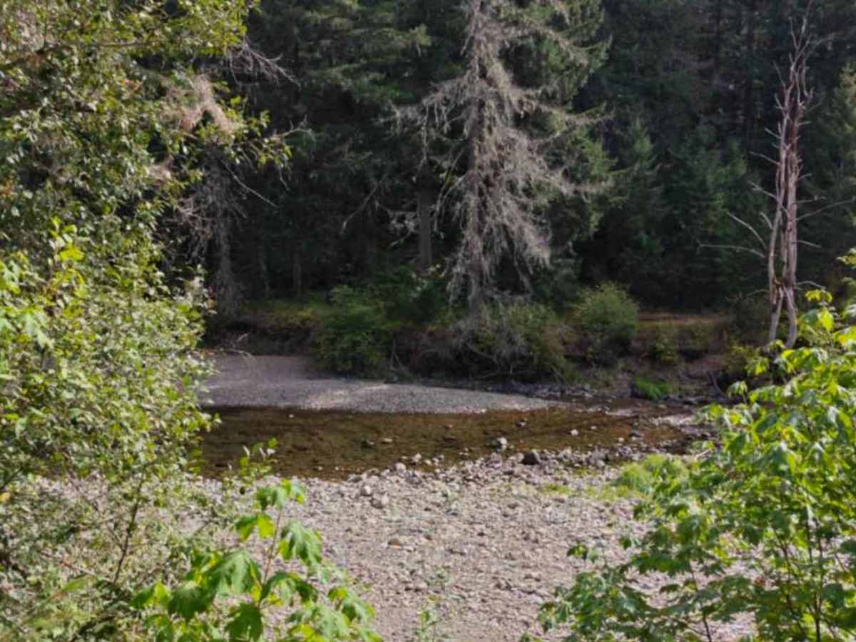 Trappers Creek - FS 5401 photo 4