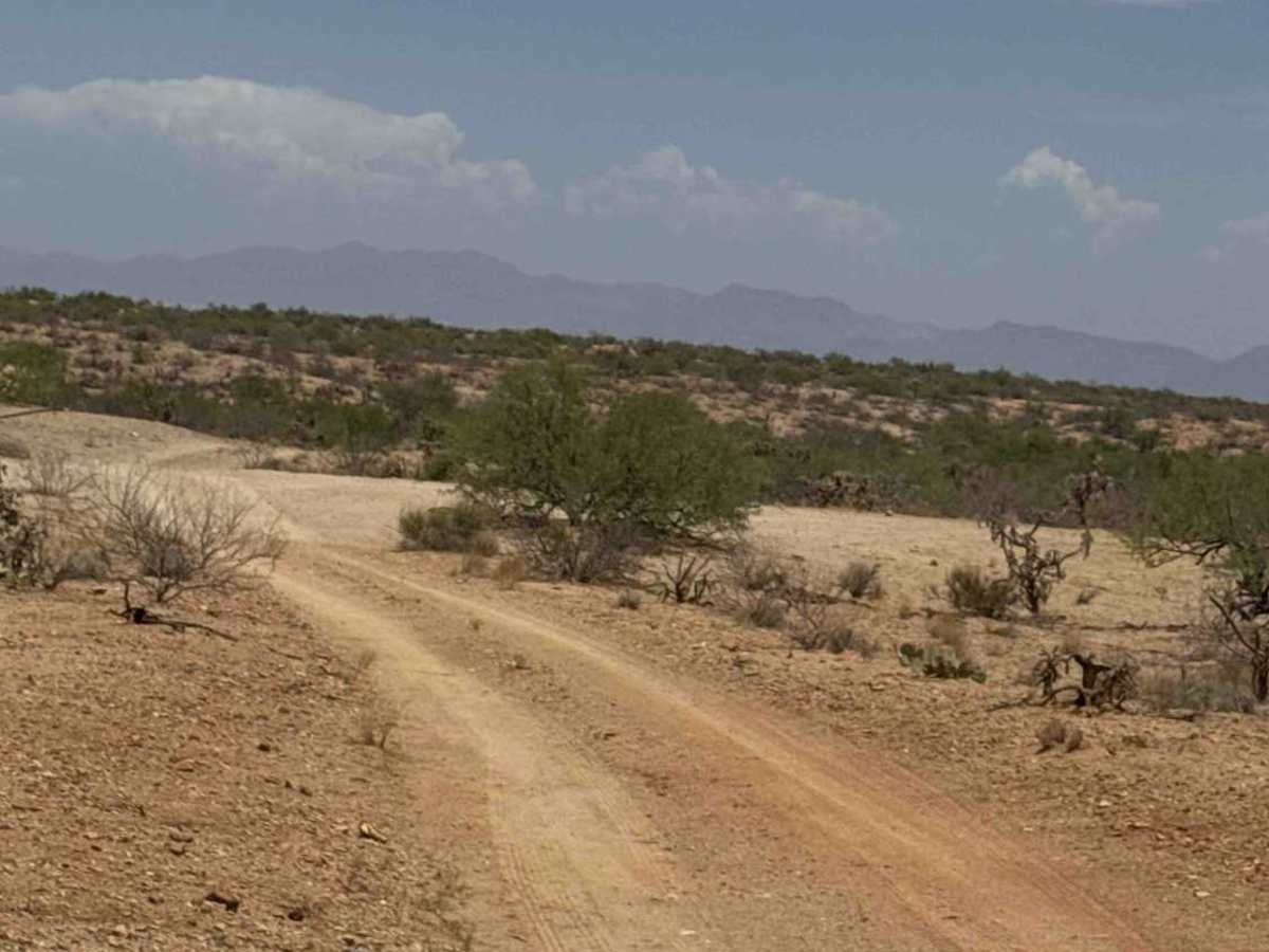 Ss1084a trail photo