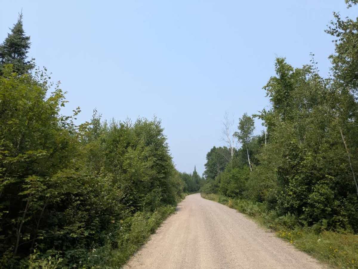 Low Lake photo 4