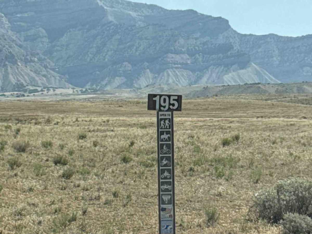 BLM 195 photo 4