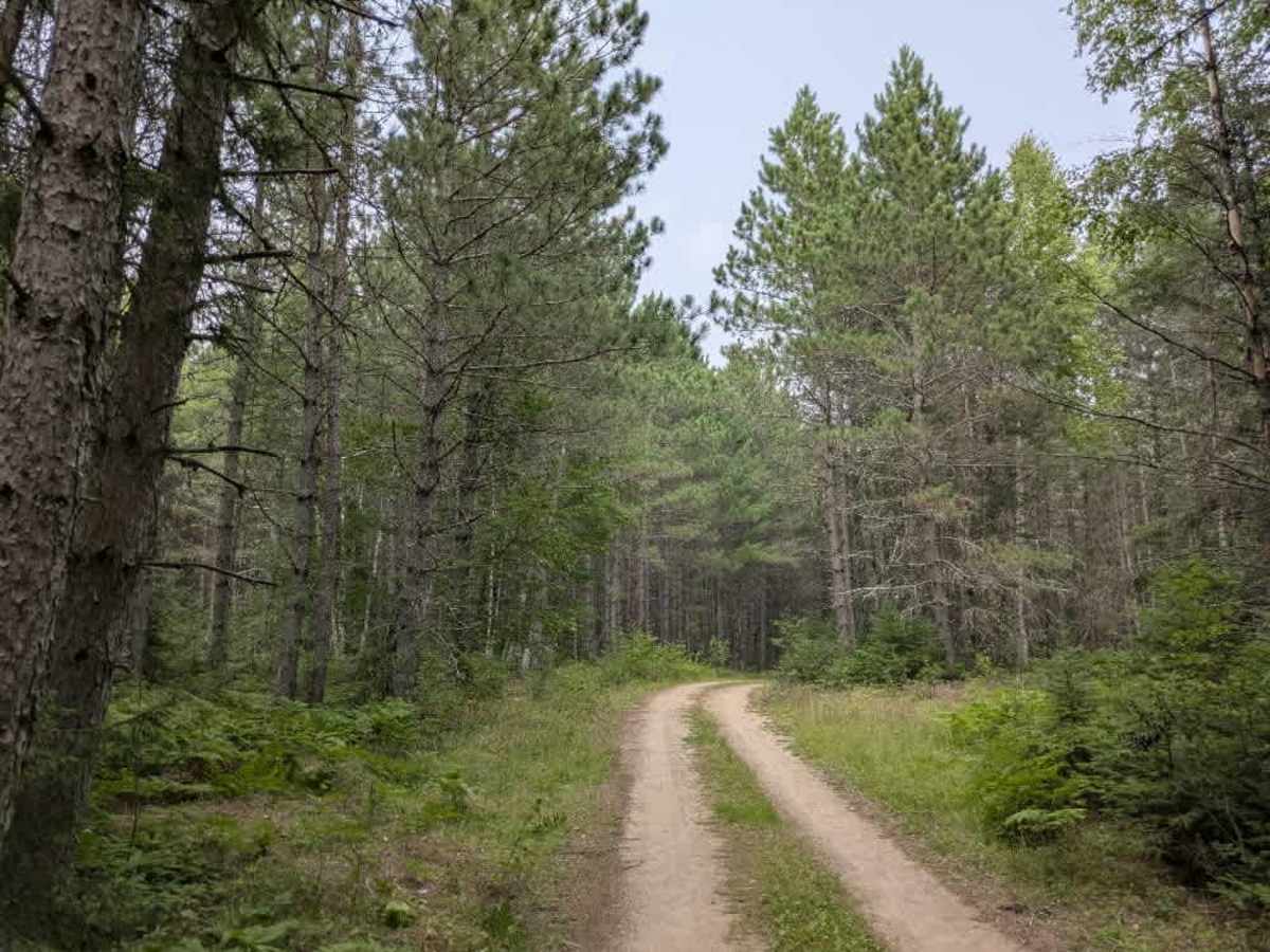 Whisper Lake photo 5