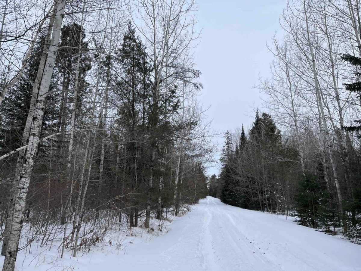 Hogsback-O'Brien Forest Road photo 3