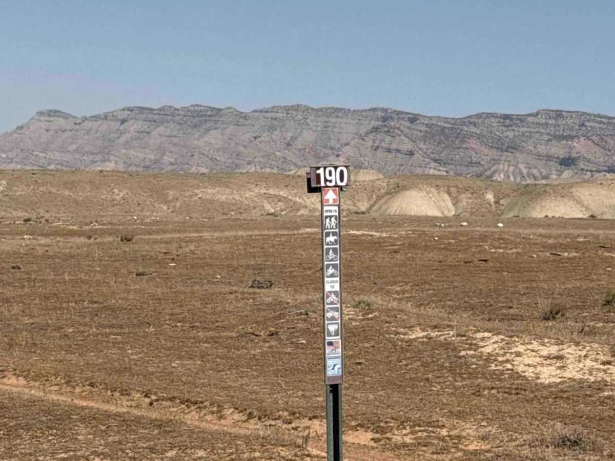 BLM 195 photo 5