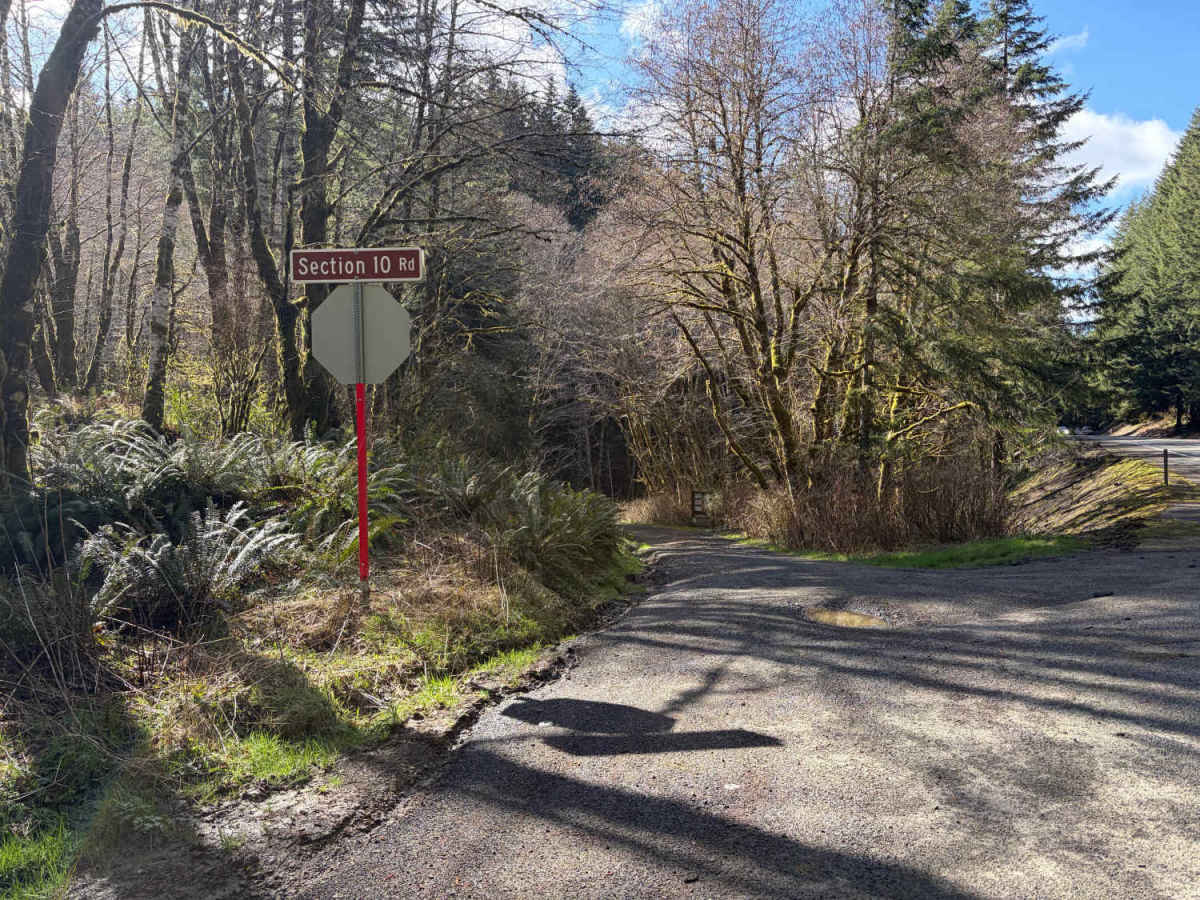 Section 10 Road trail photo