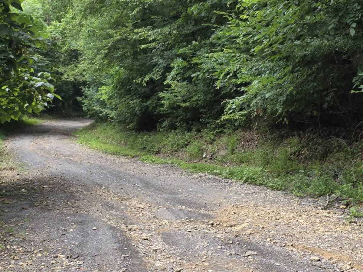 Holland Road - Macon County Tour photo 6