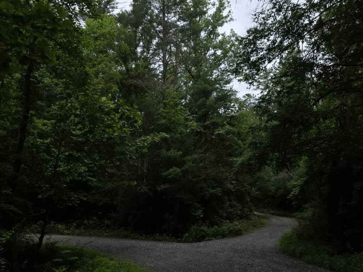 Doe Branch Road photo 4