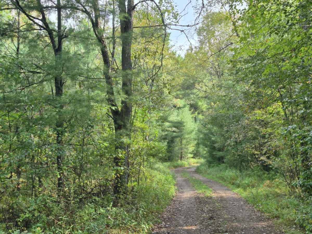 Little Otter Creek Road photo 5