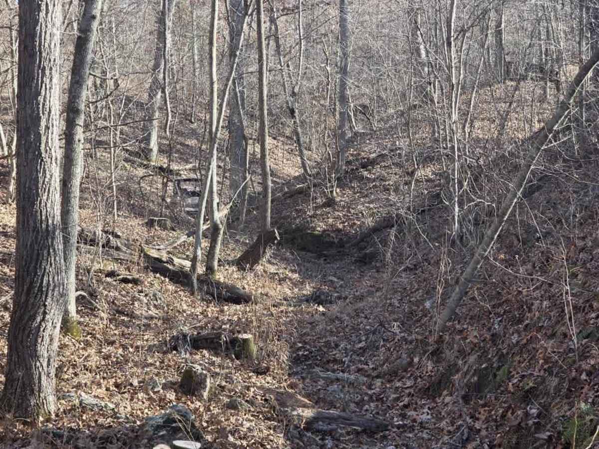 Unforgiven  trail photo