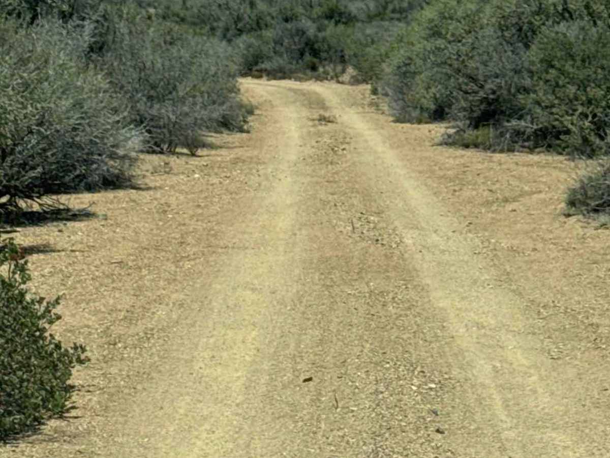 51001 trail photo