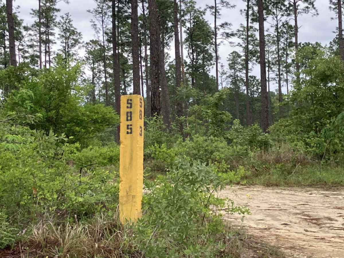 S85 trail photo
