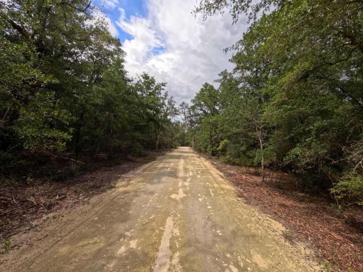 Ellis Ford Road photo 4
