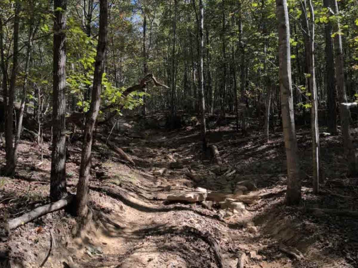 #140 Ed's Ledge photo 3