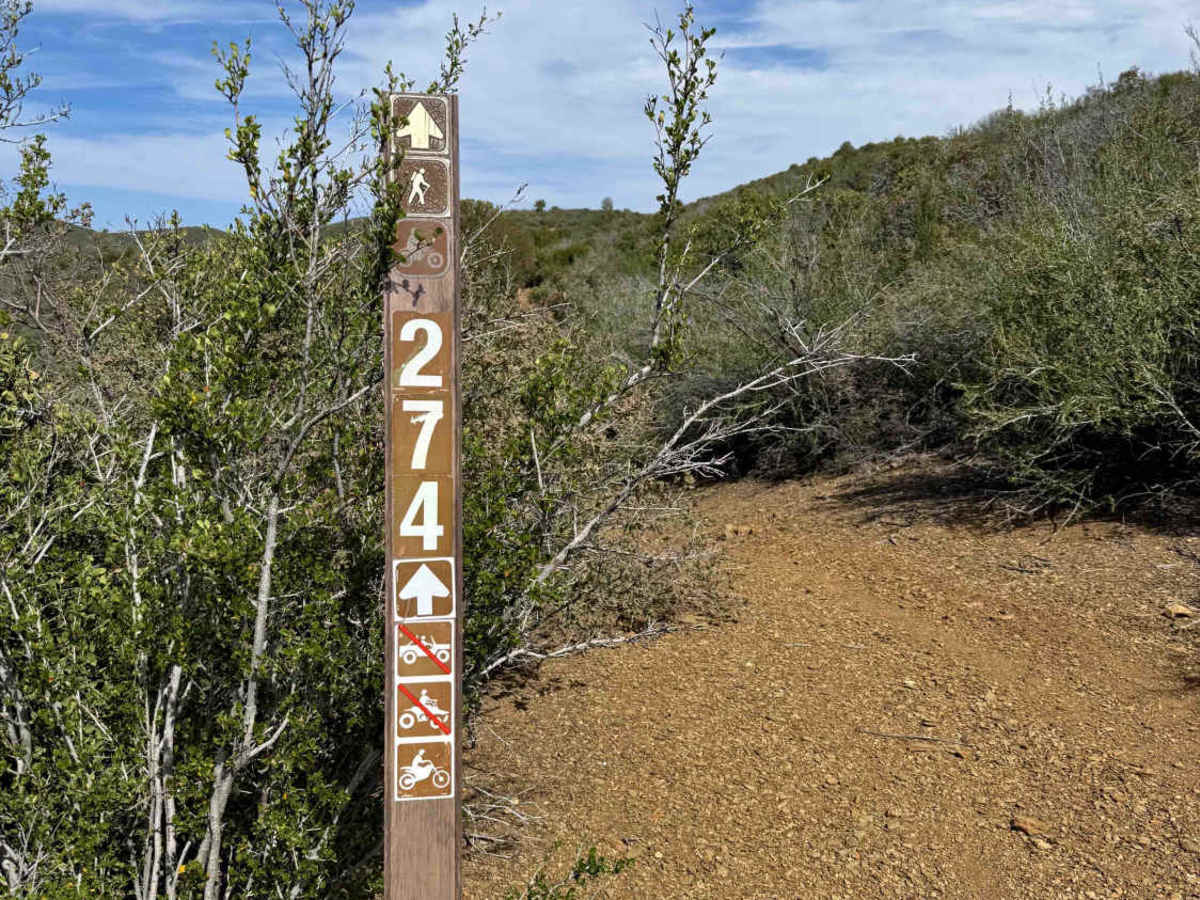 Climax trail photo