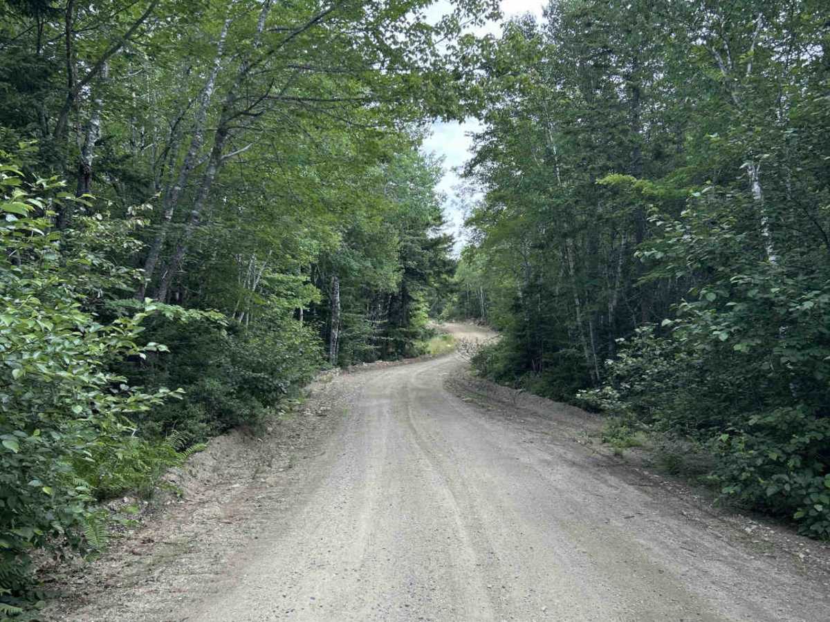 Hog Lot Road photo 3