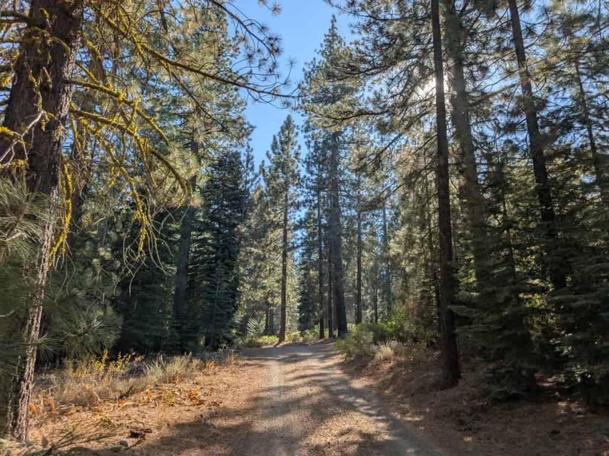 FS 24N10B trail photo
