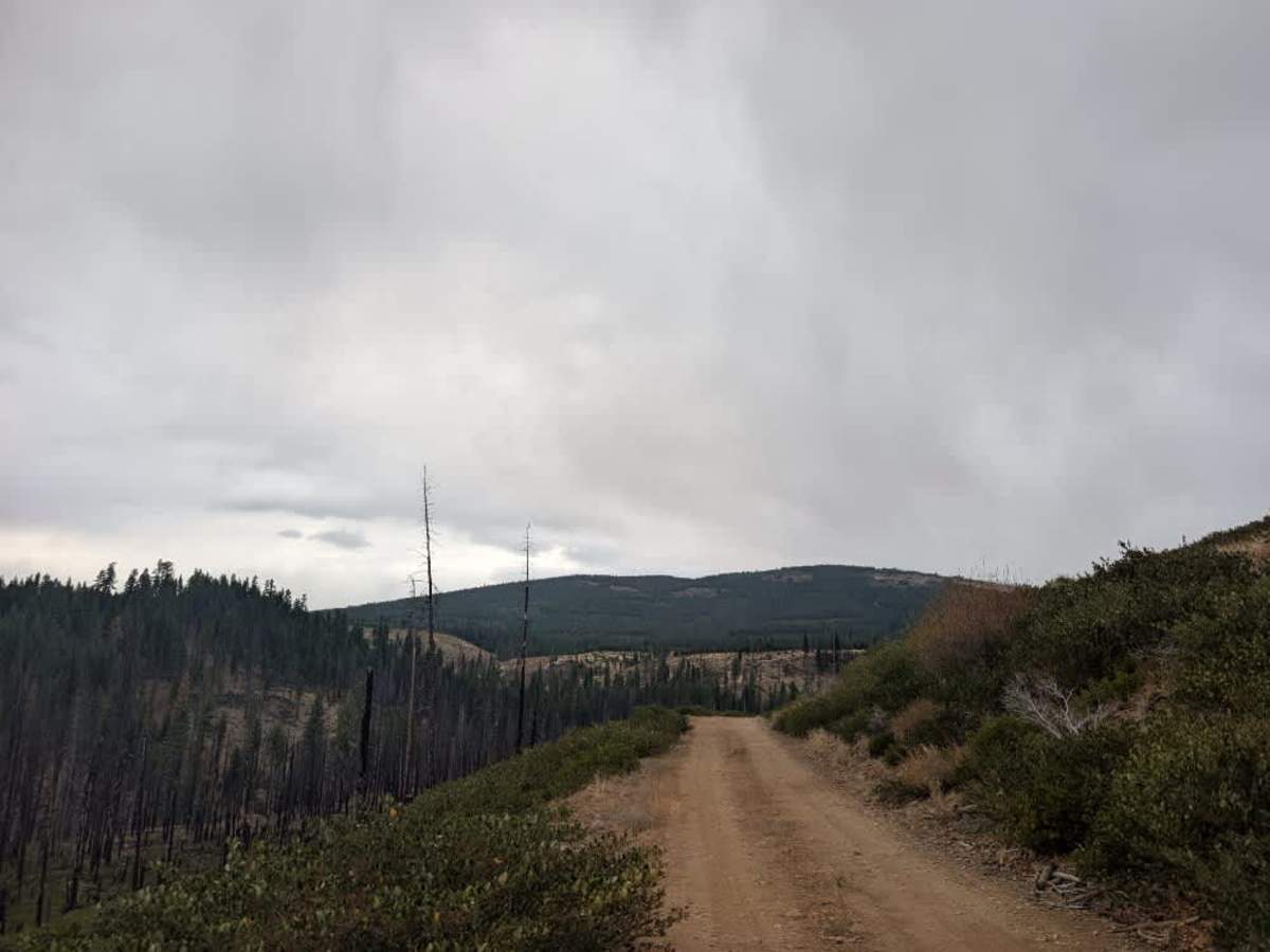 FS 30N03C trail photo