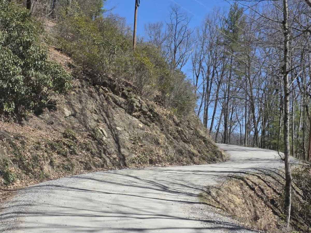 Cove Creek Road photo 5