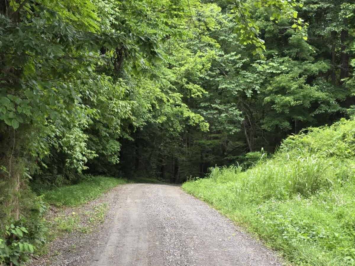 Shockley Hill Road - Macon County Tour photo 3