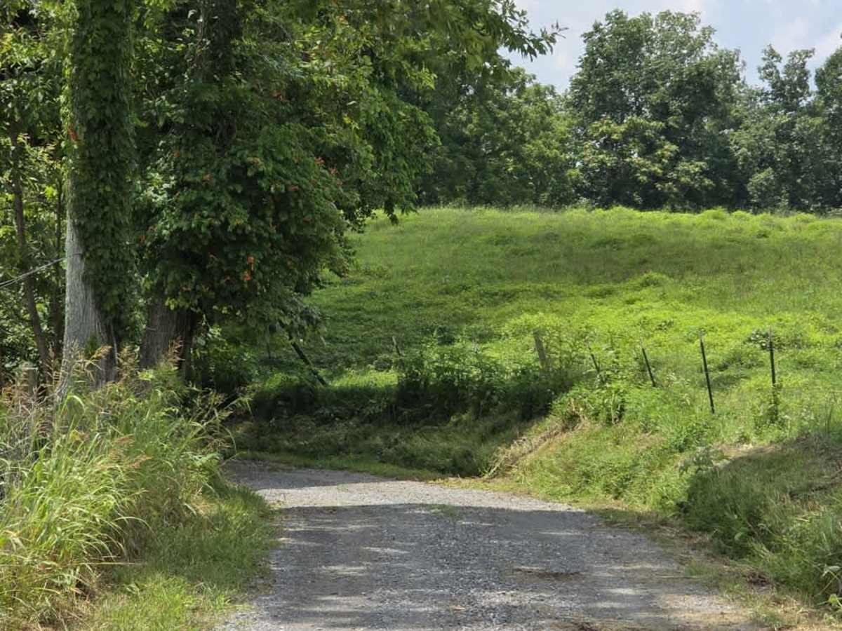 Holland Road - Macon County Tour photo 2
