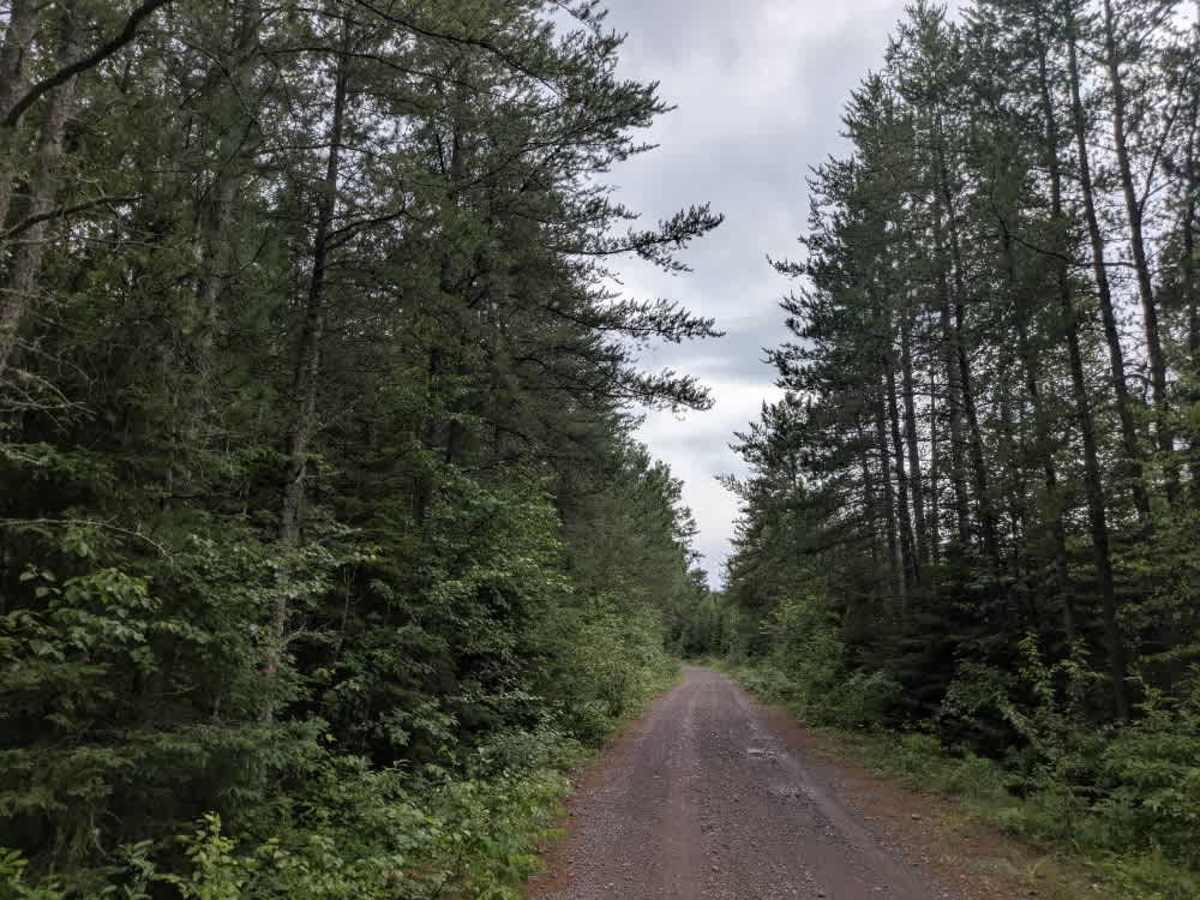 Bandana Trail photo 6