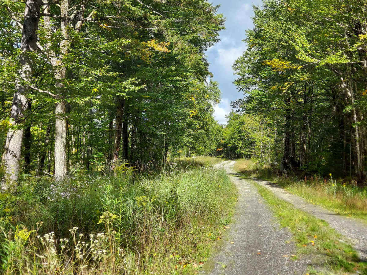 West Inlet Road photo 4