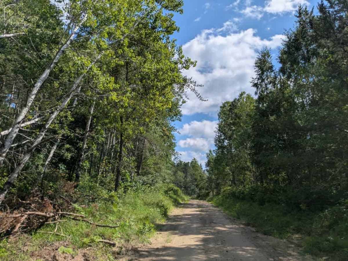 Cass River Road Southeast photo 4