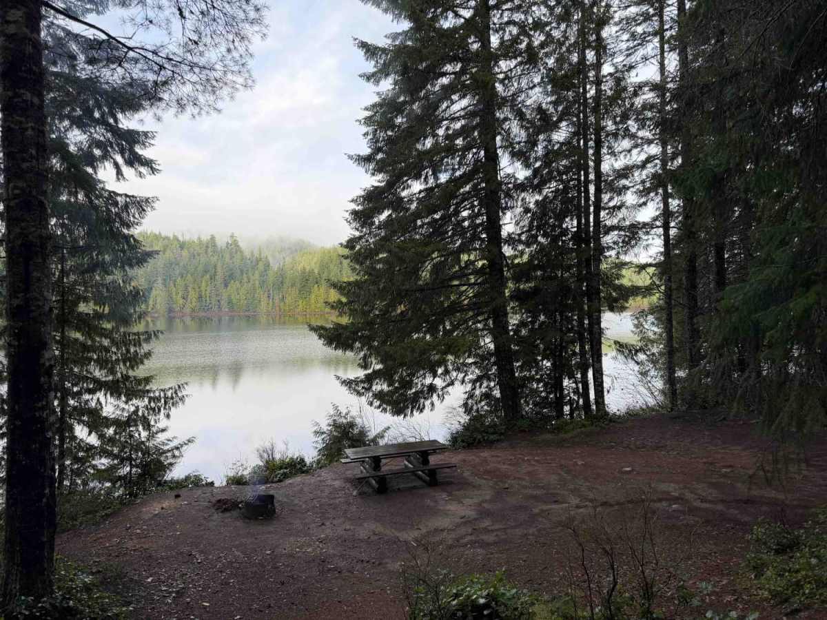 Brittney Bay Recreation Site trail photo