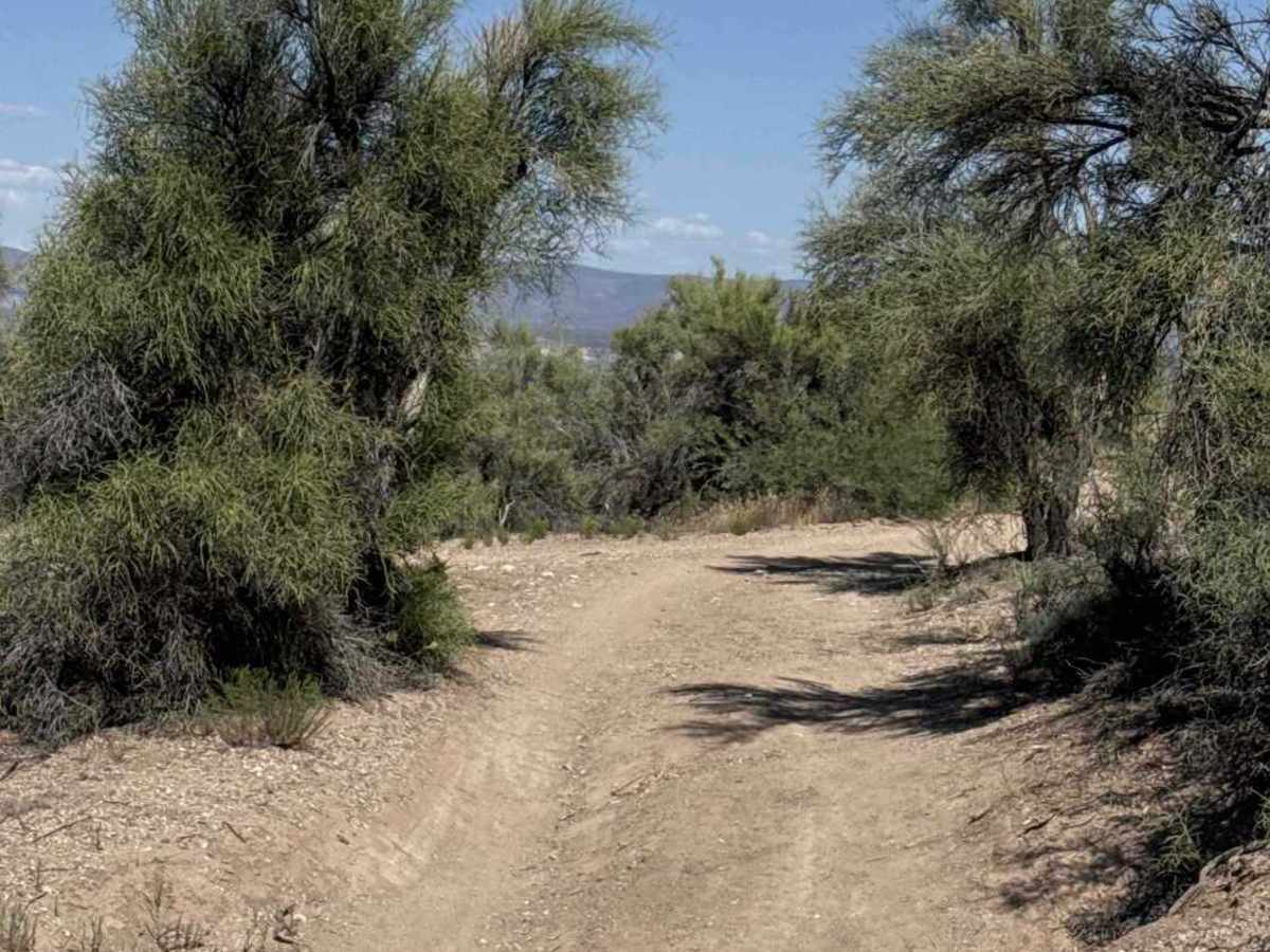 Grief Hill Trailhead - FS 9650C photo 2