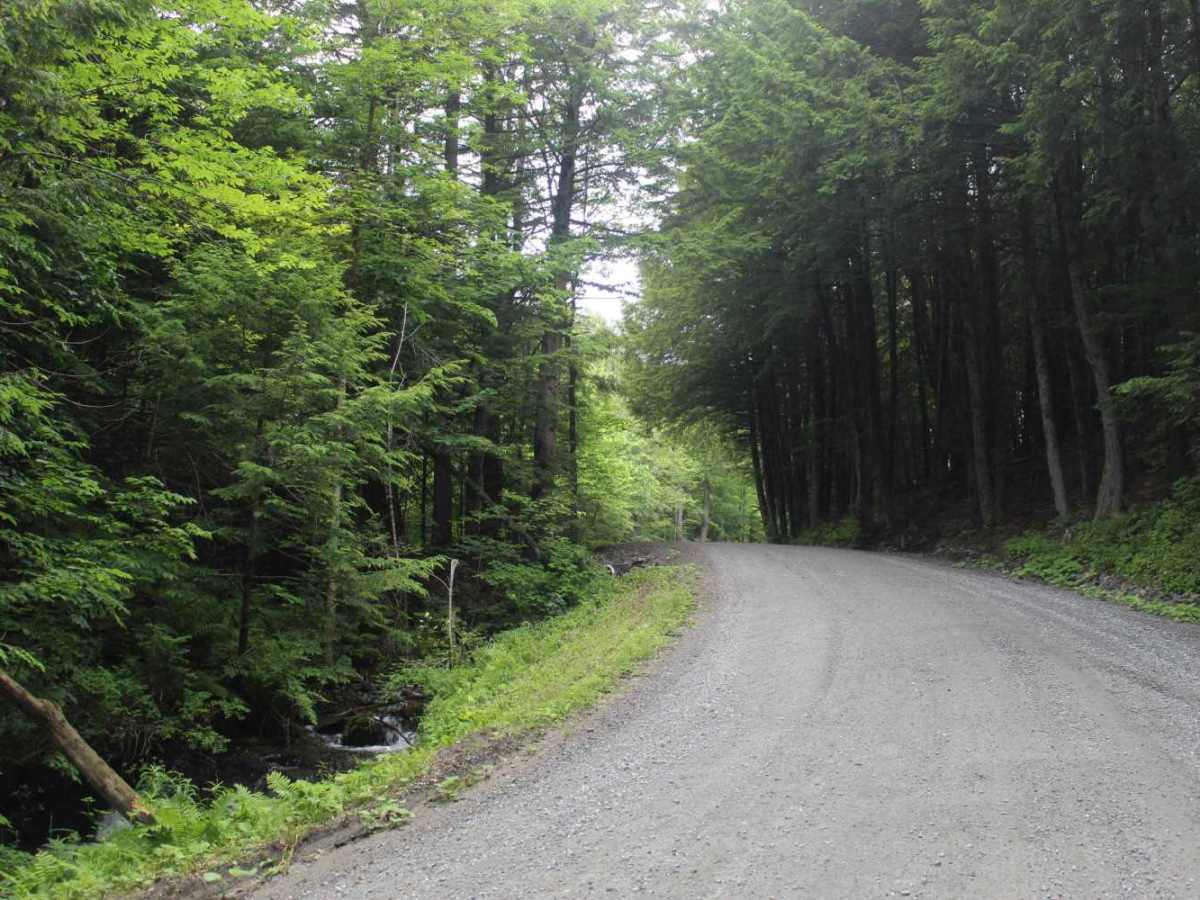 Mill Road trail photo