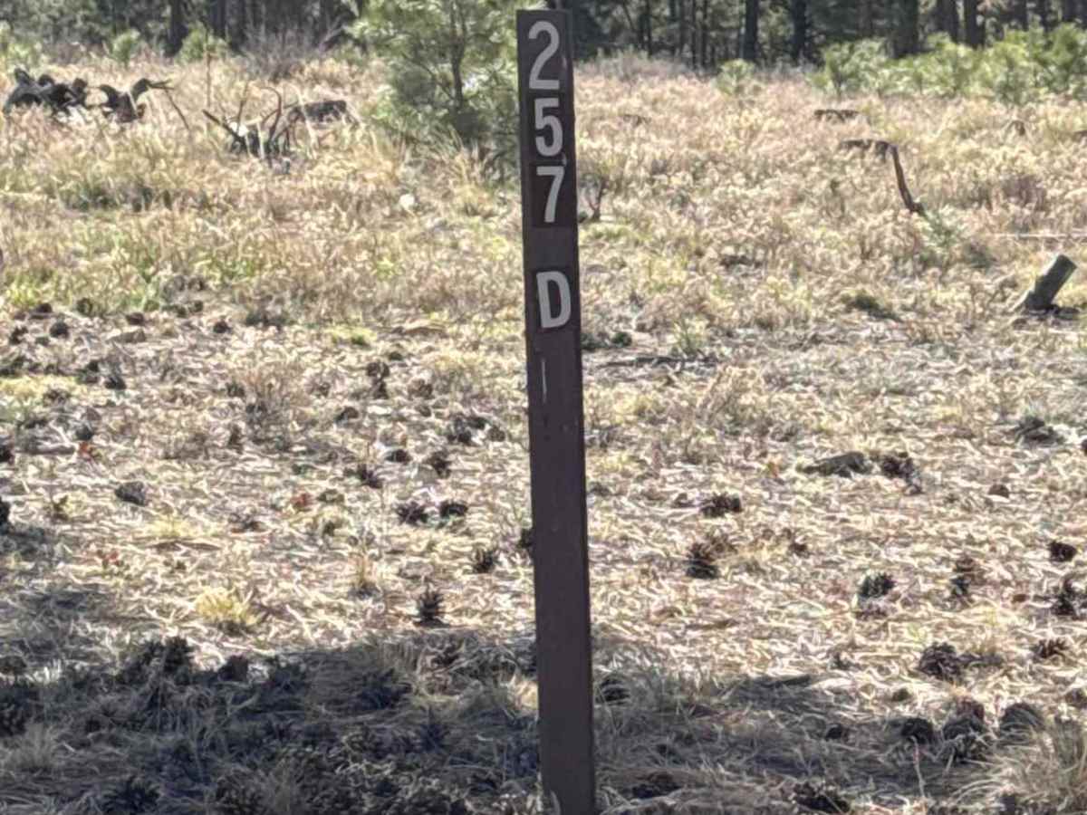 FS 257D  trail photo
